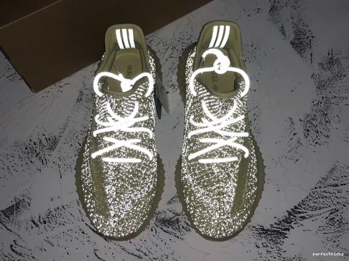 Adidas Antlia V2 Reflective FV3255 Yeezys 350 0804